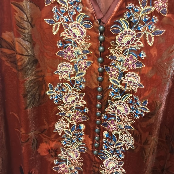 Embroidered Velvet Top in Rich Rust - Picture 4 of 4